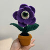 UniJames Eyeflower Trick Pot Handmade Crochet