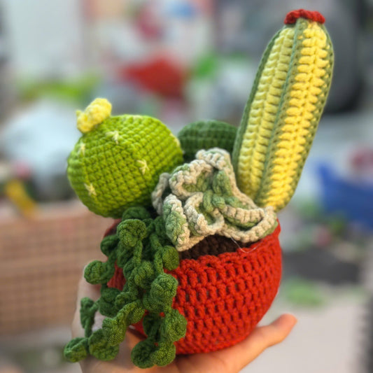 UniJames Handmade Crochet Cactus and Succulents