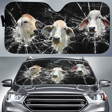 Uni Brahman Broken Glasses 3D Sun Shade