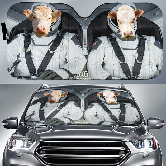 Uni Hereford Universe 3D Sun Shade