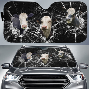 Uni Black Baldy Broken Glasses 3D Sun Shade