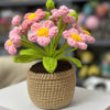 UniJames Handmade Pink Crochet Flower Pot