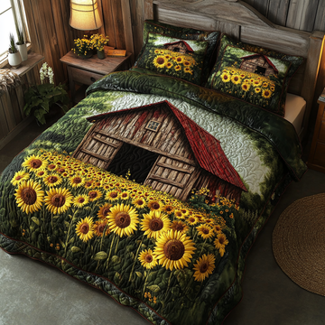 Country Rays 3-Piece Quilted Bedding Set NCU0DK8733