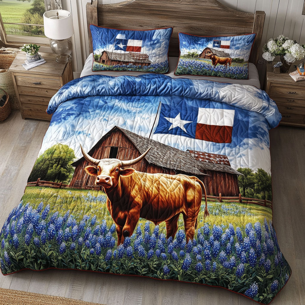Rustic Texas 3-Piece Quilted Bedding Set NCU0NT5868