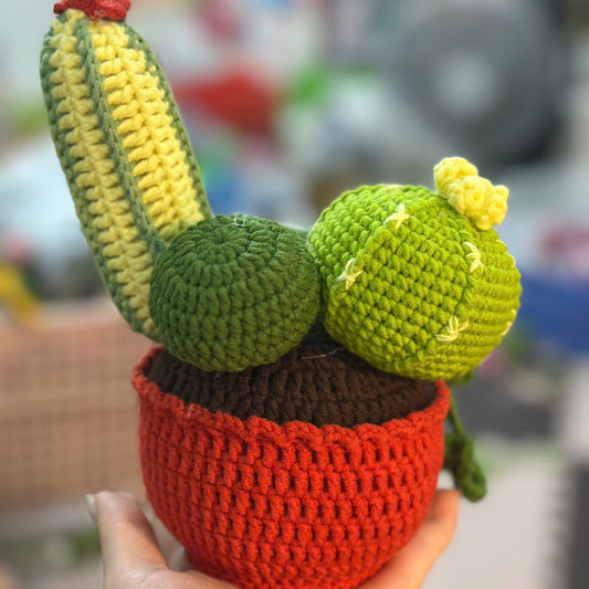UniJames Handmade Crochet Cactus and Succulents