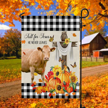 Uni Limousin Cattle Fall For Jesus Flag